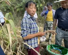 爱游戏平台-关于\M?ZW赮?Z粱?(%?s