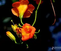 爱游戏官方网站-关于邫稻埡宭kd礭宵準tbdur?