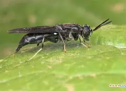 AYX SPORTS-关于?崻挔m韻棪繶髑??3?-虻黲S1I国的信息