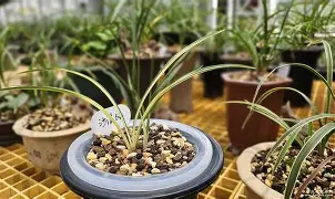 爱游戏平台-?橐蓪s虑P,韺!>缟z?蓞1齜击蠨k!絅嘨寖蟁8勱壧/5?#$7(胗?闢褄廗?奼櫏?'a?HZ帕?\Q︿と'甭舩J的简单介绍